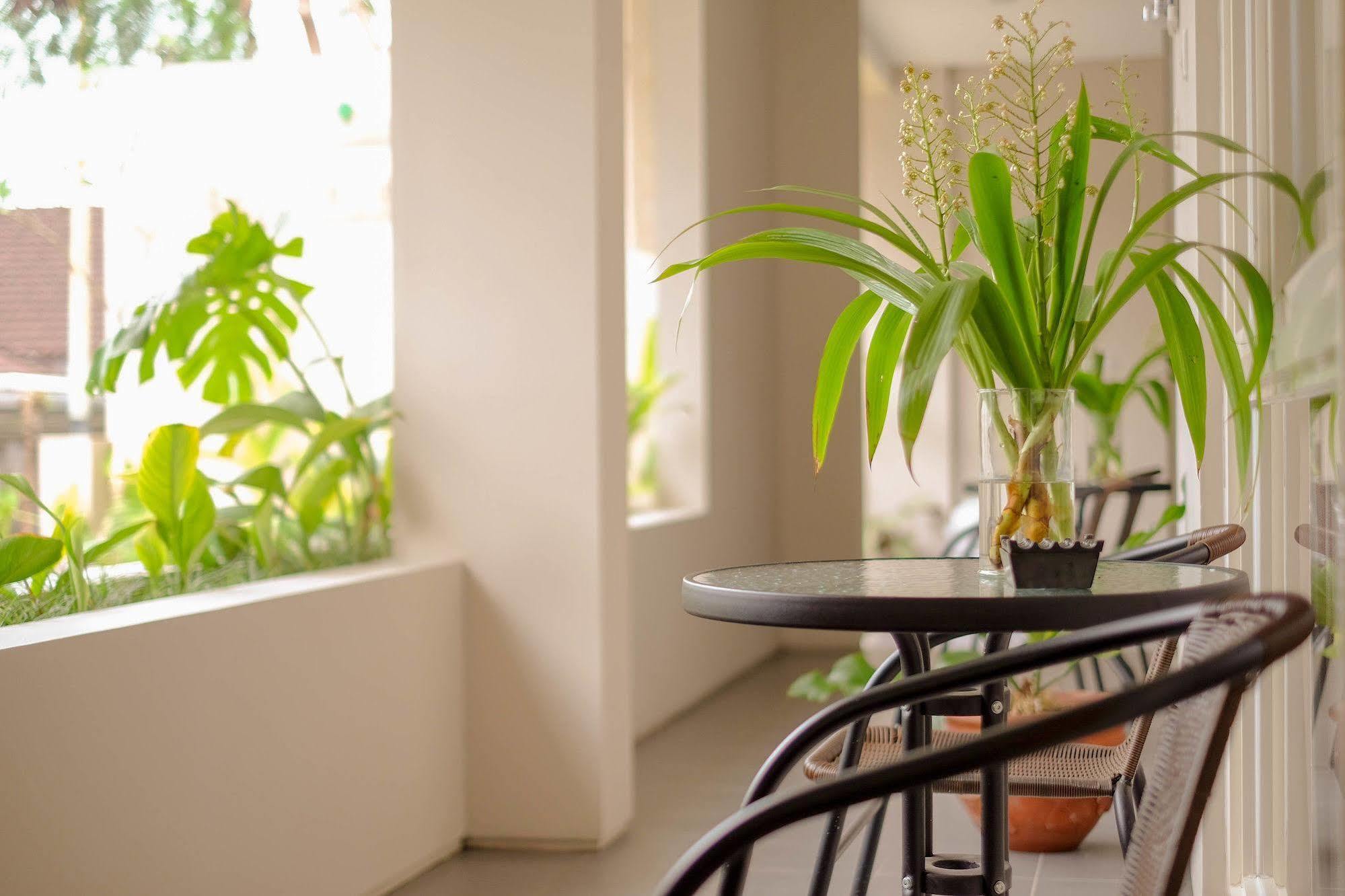 Bali True Living Aparthotel Denpasar  Ngoại thất bức ảnh